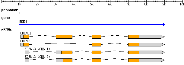 Figure1